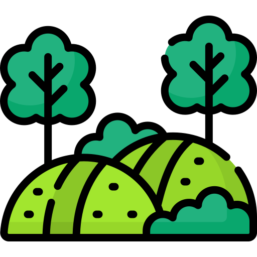 hills